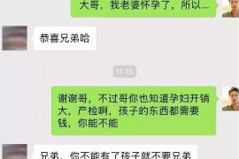 东坡为什么选择专业追讨公司来处理您的债务纠纷？